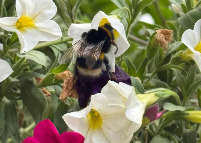 Bed & Breakfast Nama-stay